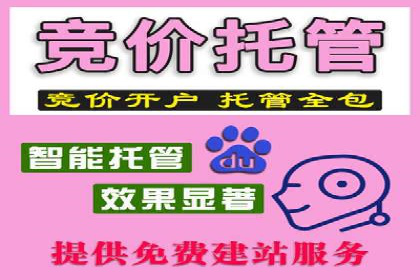 网络推广竞价实战案例全解析